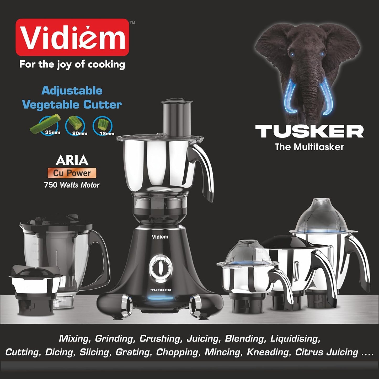 Vidiem Mixer grinder